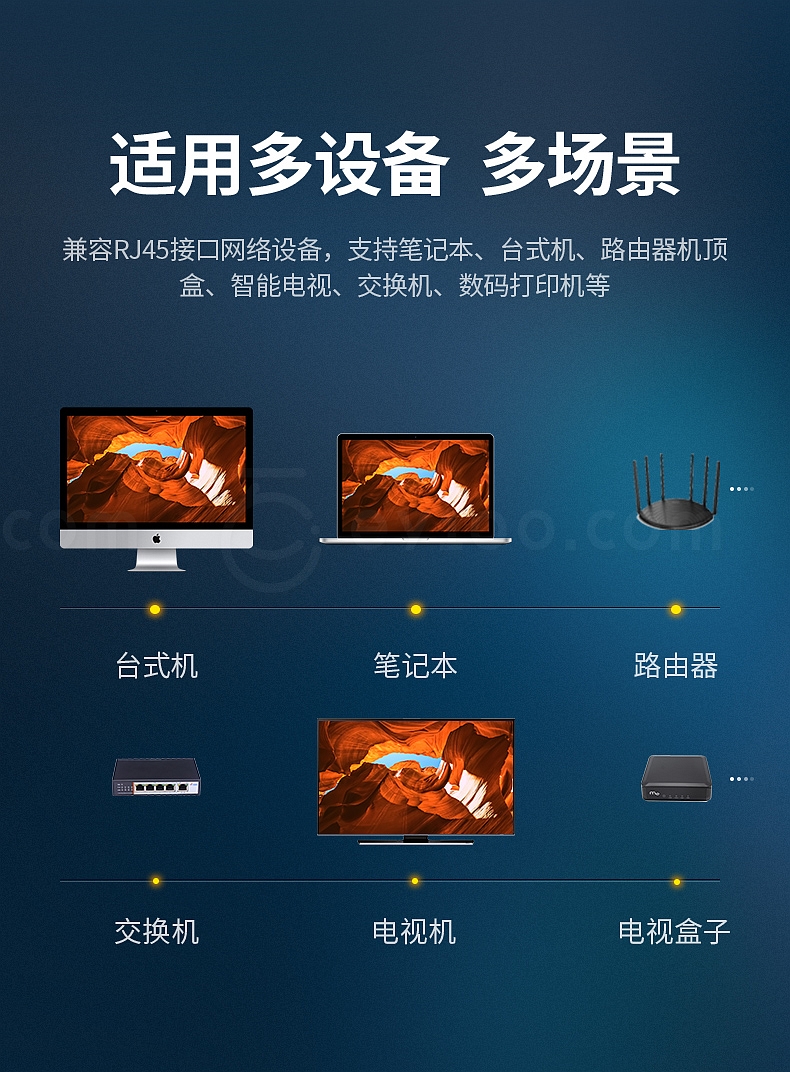 綠聯數碼網絡交換 多元化數字生態的橋梁與未來